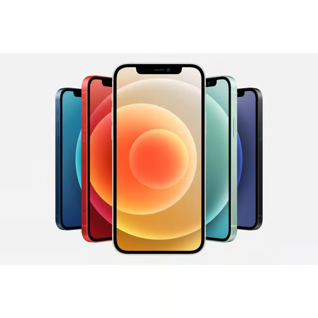APPLE iPhone 12 64Go